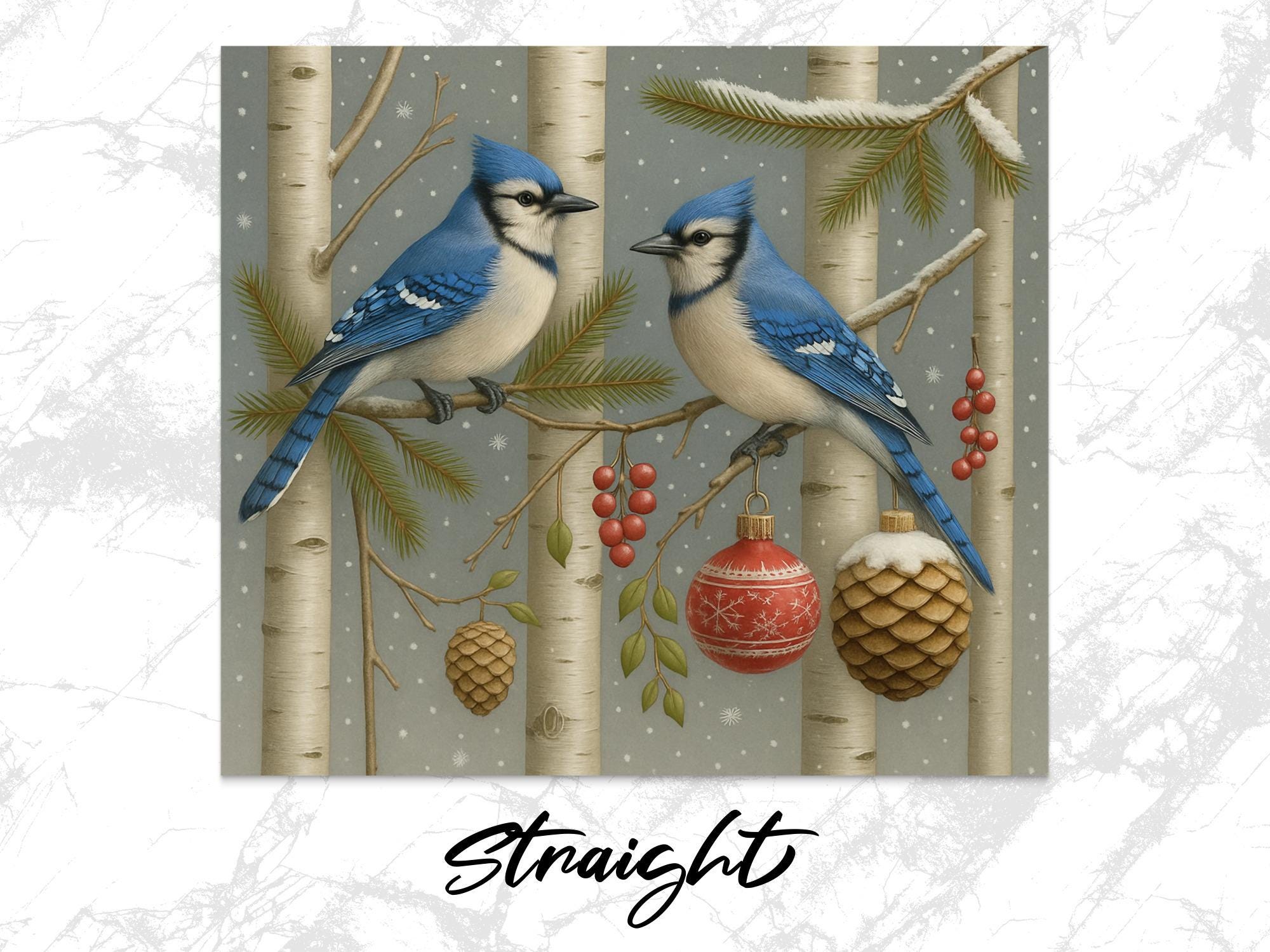 Blue Jay Tumbler Wrap: Winter Bird Birch Tree PNG (Digital Download 20oz Tumbler Design)