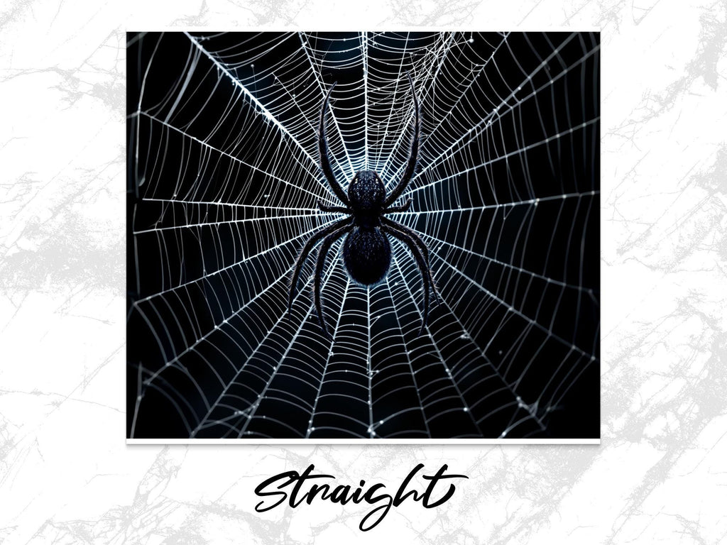 Spider Web Tumbler Wrap: Spooky Halloween Sublimation Design (Digital Download