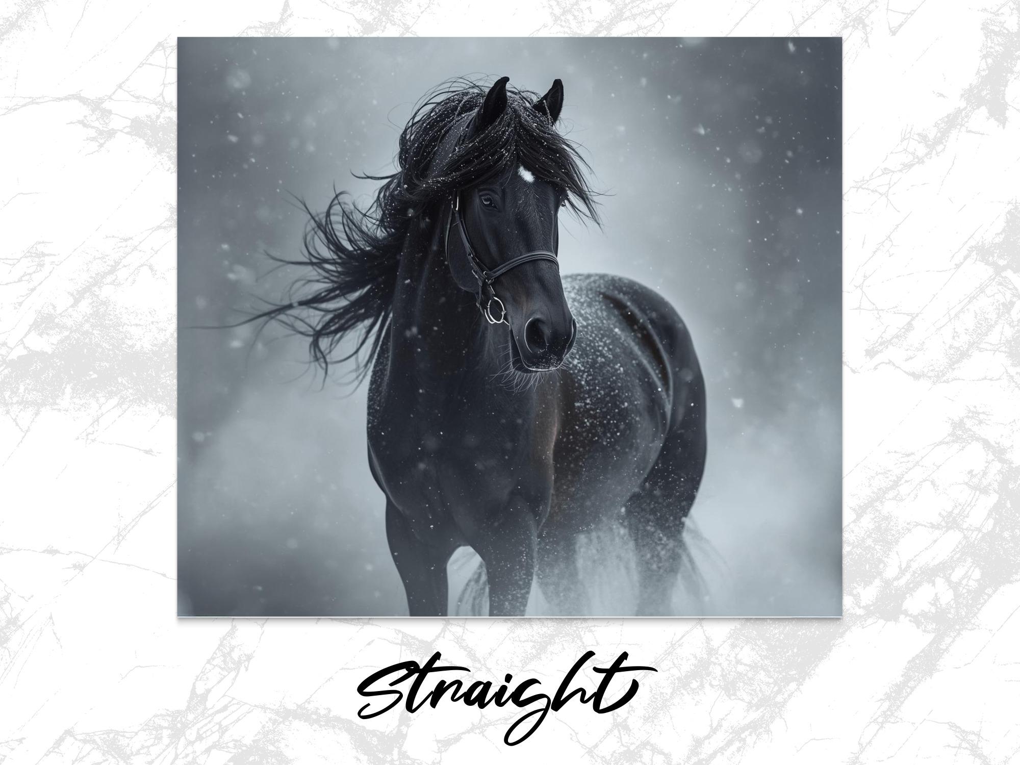 Black Horse Tumbler Wrap: Snowy Friesian Sublimation Design (Digital Download)