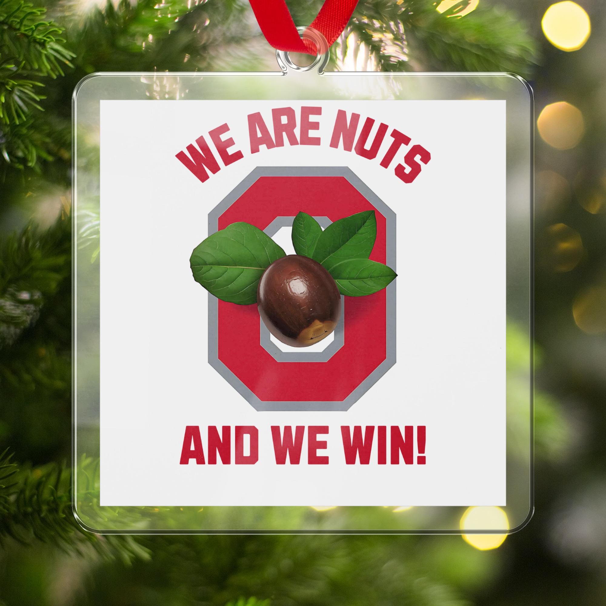 Buckeyes Shirt Sublimation Design: We Are Nuts Ohio Png (Digital Download)